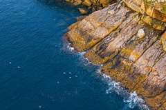 02_NATURA-BIZIA