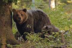 05_NATURA-BIZIA