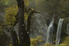06_NATURA-BIZIA