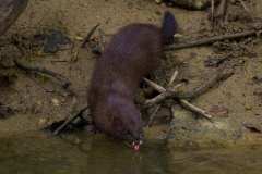 07_NATURA-BIZIA
