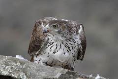 05_NATURA-BIZIA-SERIE