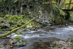 06_NATURA-BIZIA-SERIE