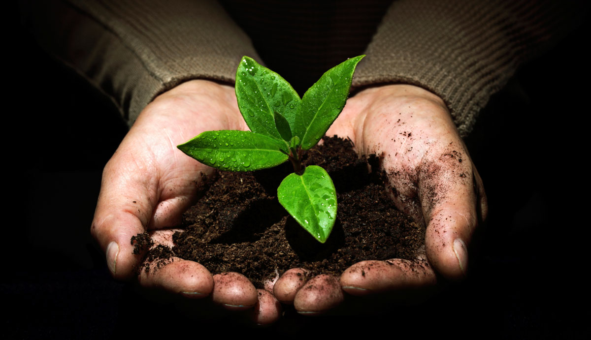 Proyecto de Ejemplo 2