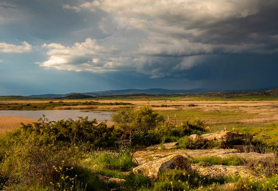 Navarra, tierra de contrastes