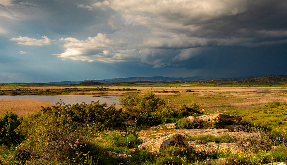Navarra, tierra de contrastes