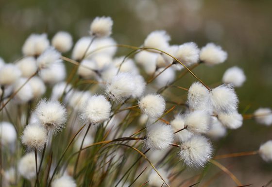 Life Ordunte sostenible