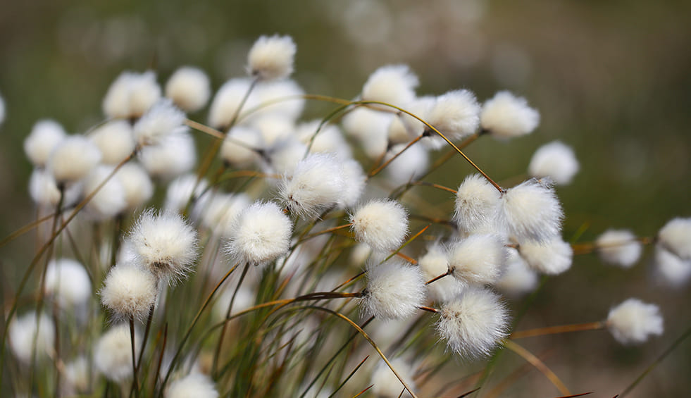 Life Ordunte sostenible